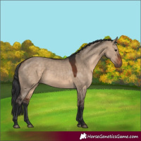 Horse Color:White Spotted Brown Dun 