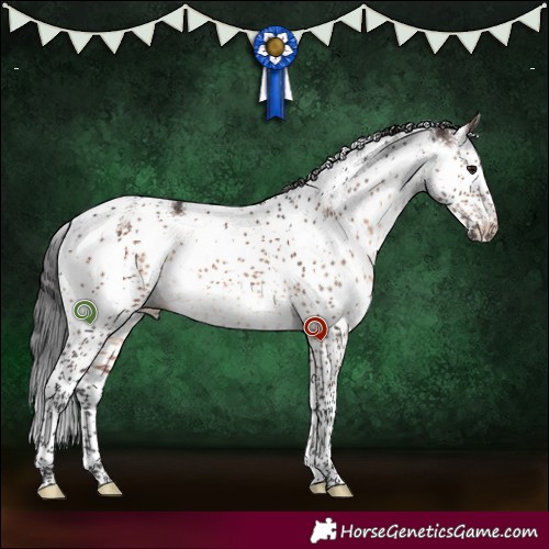 Horse Color:Brown Dun Sabino Brindle 