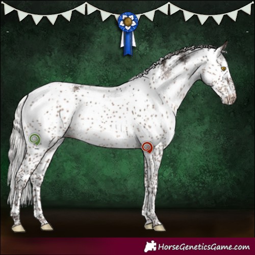 Horse Color:Silver Grullo Sabino Rabicano Brindle 