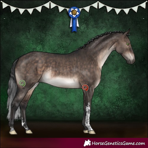 Horse Color:Brown Dun Mushroom Sabino Rabicano Brindle 