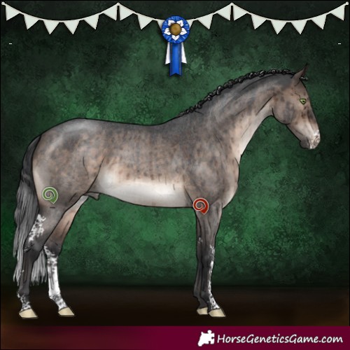 Horse Color:Brown Roan Dun Mushroom Sabino Rabicano Brindle 