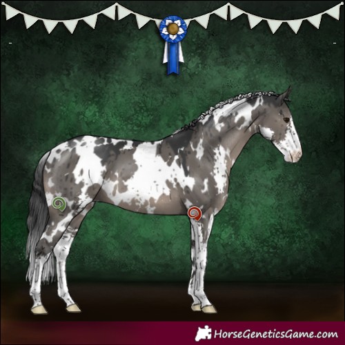 Horse Color:White Spotted Grullo Mushroom Sabino Brindle 