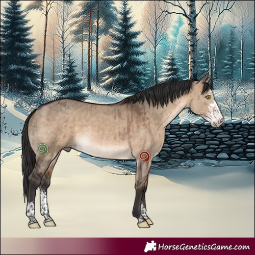 Horse Color:Brown Dun Sabino Brindle 