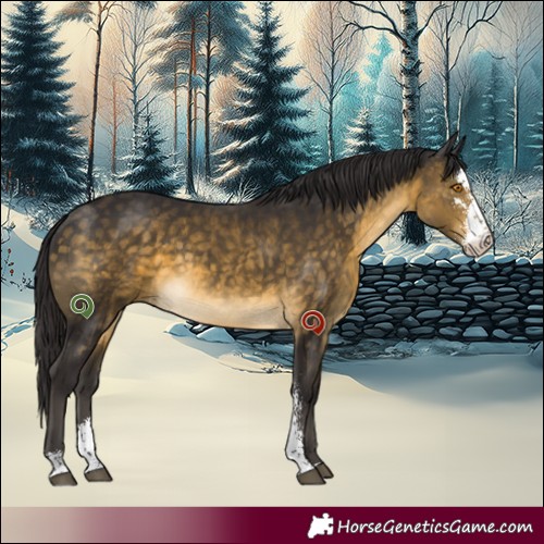 Horse Color:Buckskin Mushroom Sabino 