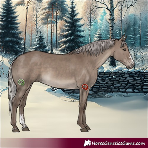 Horse Color:Silver Grullo Sabino 