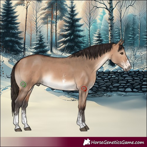 Horse Color:Bay Dun Sabino 