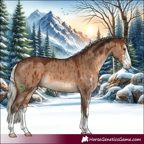 Horse Color:Silver Brown Dun Sabino Brindle