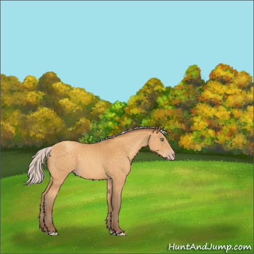 Horse Color:Silver Sable Cream Champagne 