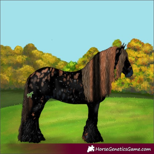 Horse Color:ERROR: UNKNOWN ANOMALY
