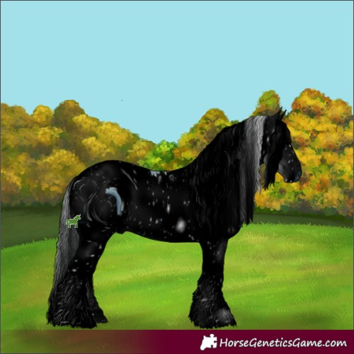 Horse Color:ERROR: UNKNOWN ANOMALY