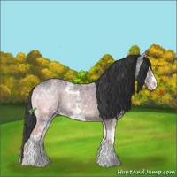 Horse Color:Blue Onyx Ice Sabino 