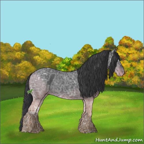 Horse Color:Black Ice Sabino