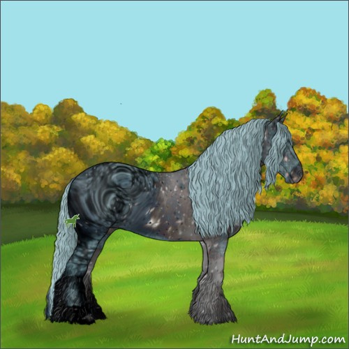 Horse Color:ERROR: UNKNOWN ANOMALY