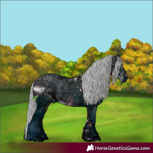 Horse Color:ERROR: UNKNOWN ANOMALY