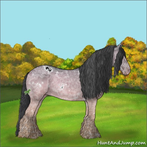 Horse Color:White Spotted Black Ice 