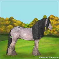 Horse Color:White Spotted Black Ice