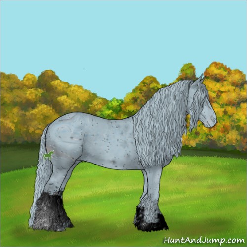 Horse Color:ERROR: UNKNOWN ANOMALY