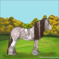 Horse Color:White Spotted Liver Chestnut Ice Sabino 