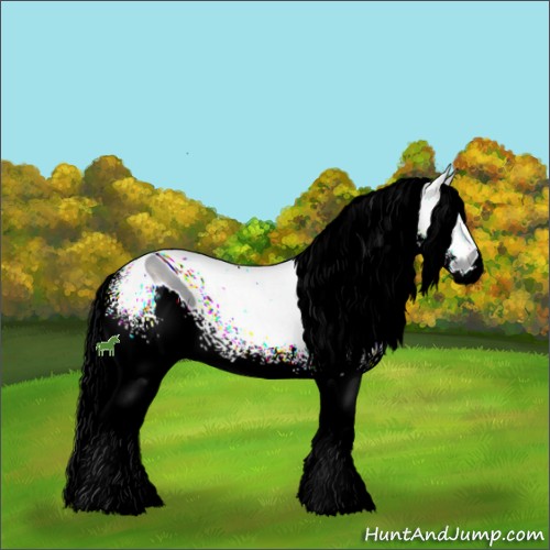 Horse Color:ERROR: UNKNOWN ANOMALY