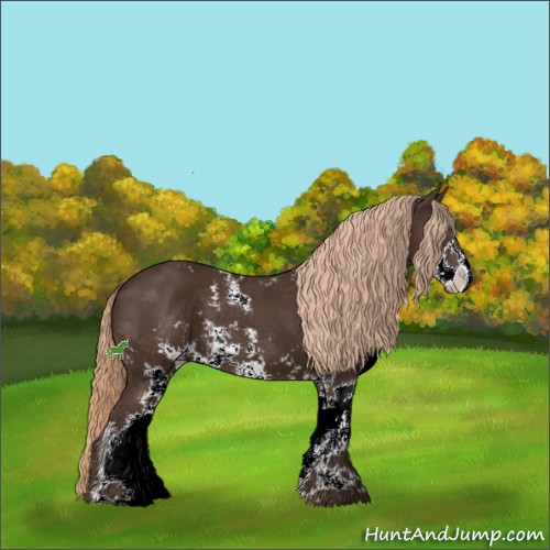 Horse Color:Liver Chestnut Sabino
