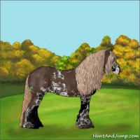 Horse Color:Liver Chestnut Sabino 