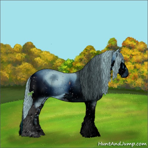 Horse Color:ERROR: UNKNOWN ANOMALY