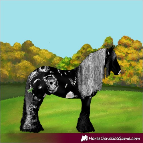 Horse Color:ERROR: UNKNOWN ANOMALY