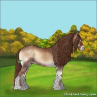 Horse Color:Red Onyx Sabino