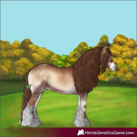Horse Color:Red Onyx Sabino