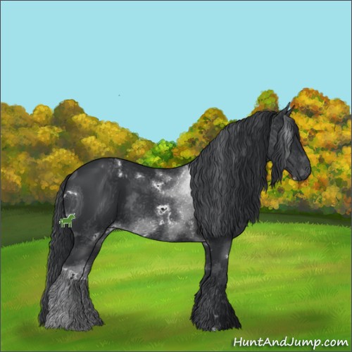 Horse Color:ERROR: UNKNOWN ANOMALY