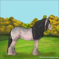 Horse Color:White Spotted Blue Onyx Ice