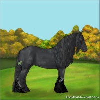 Horse Color:Black Sabino Tobiano 