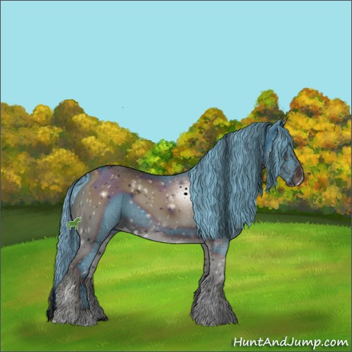 Horse Color:ERROR: UNKNOWN ANOMALY