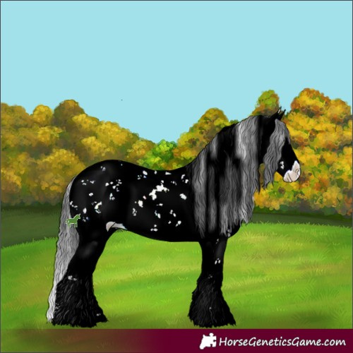 Horse Color:Grullo Ice Sabino