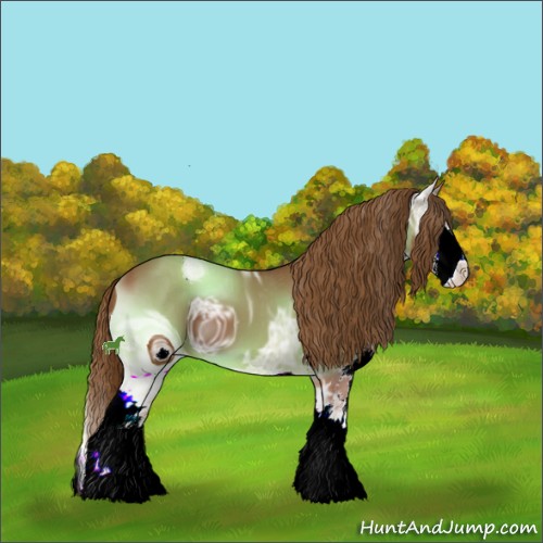 Horse Color:ERROR: UNKNOWN ANOMALY