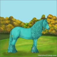 Horse Color:Watercolor Black Sabino Rabicano 