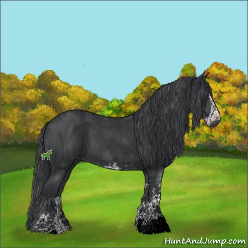 Horse Color:ERROR: UNKNOWN ANOMALY