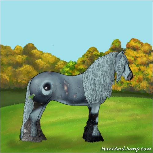 Horse Color:ERROR: UNKNOWN ANOMALY