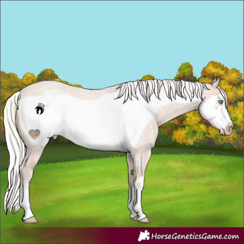 Horse Color:Silver Smoky Creme Roan Frame 