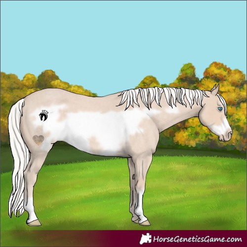 Horse Color:Silver Smoky Creme Roan Frame 