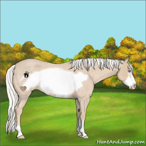 Horse Color:Silver Smoky Creme Roan Frame 