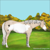 Horse Color:Silver Smoky Creme Roan Frame 