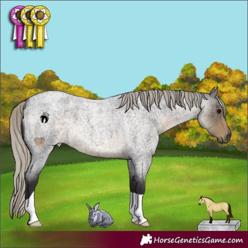 Horse Color:Silver Smoky Blue Roan 