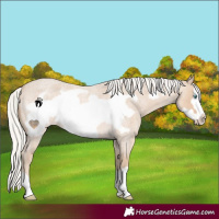Horse Color:Silver Smoky Creme Roan Frame 