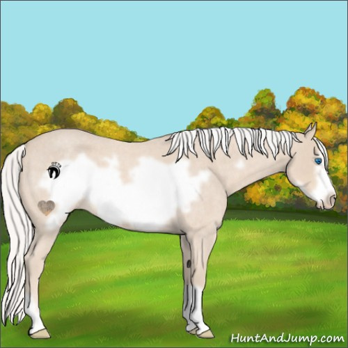 Horse Color:Silver Smoky Creme Roan Frame 