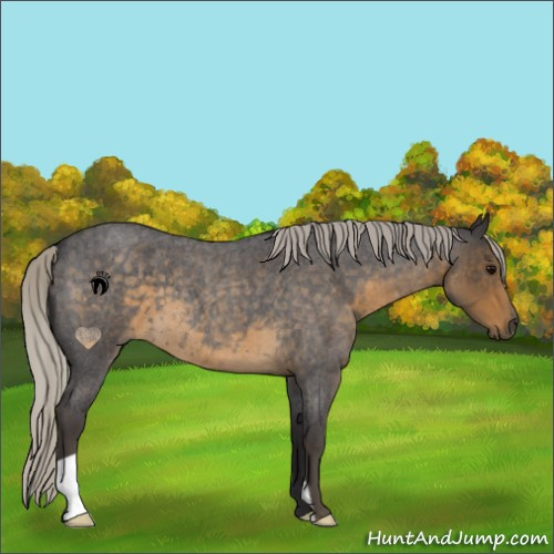 Horse Color:Silver Smoky Blue Roan 