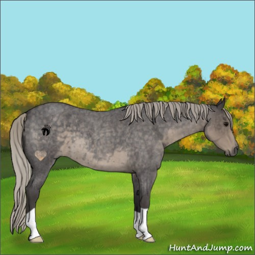 Horse Color:Silver Smoky Blue Roan