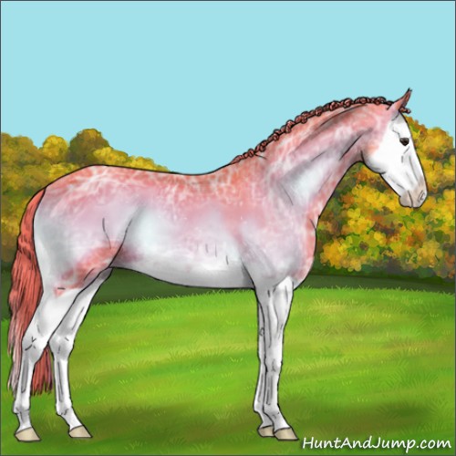 Horse Color:Watercolor Liver Red Onyx Ice Splash 