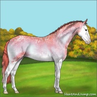 Horse Color:Watercolor Liver Red Onyx Ice Splash 