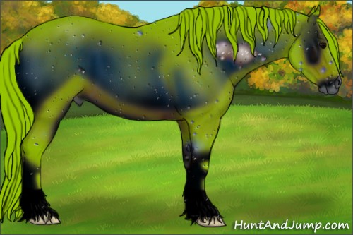 Horse Color:ERROR: UNKNOWN ANOMALY